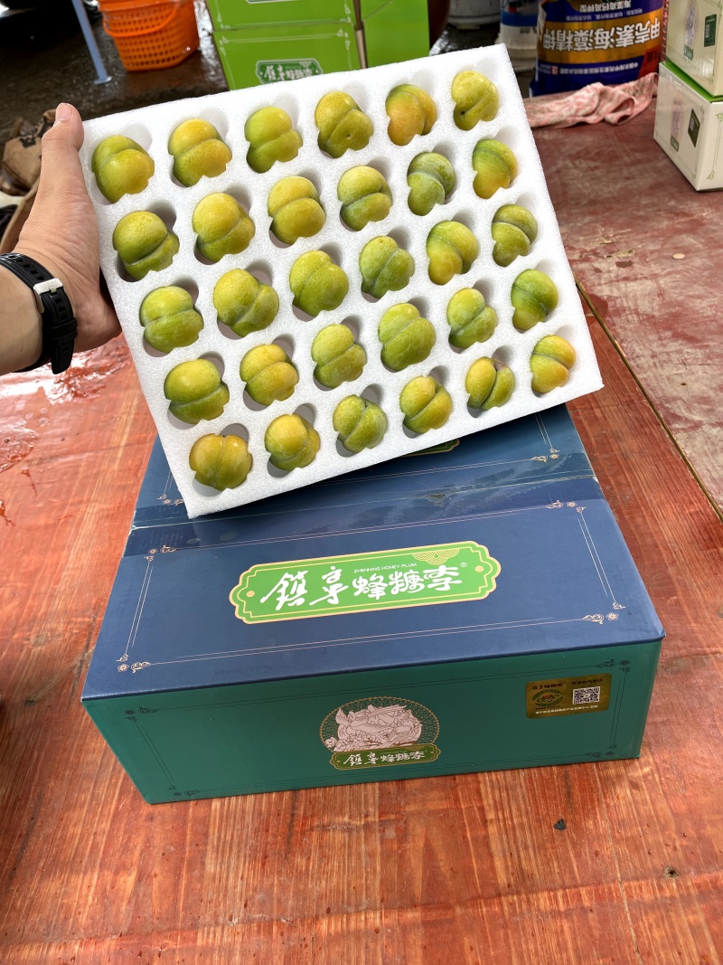 六马打帮蜂糖李
