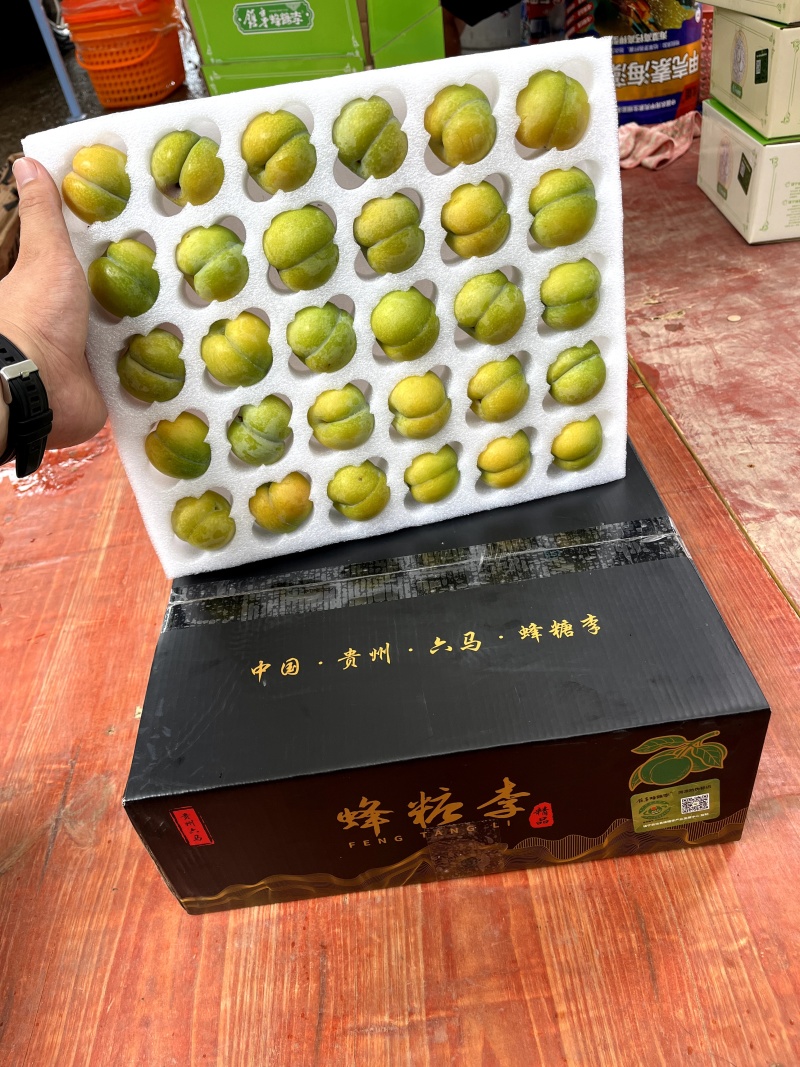 六马打帮蜂糖李