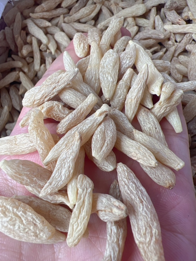 麦冬地摊电商批发麦冬大粒麦门冬手选中药材干货