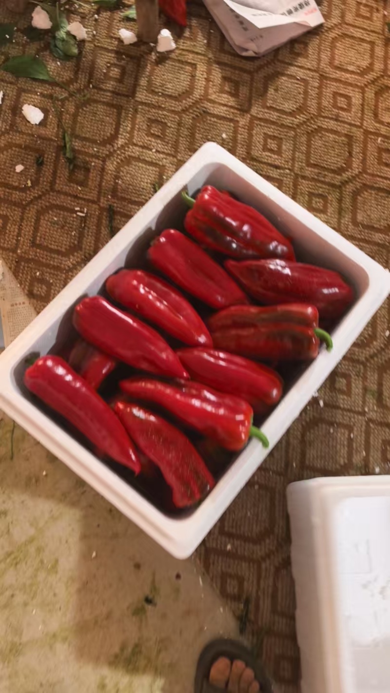 红泡椒