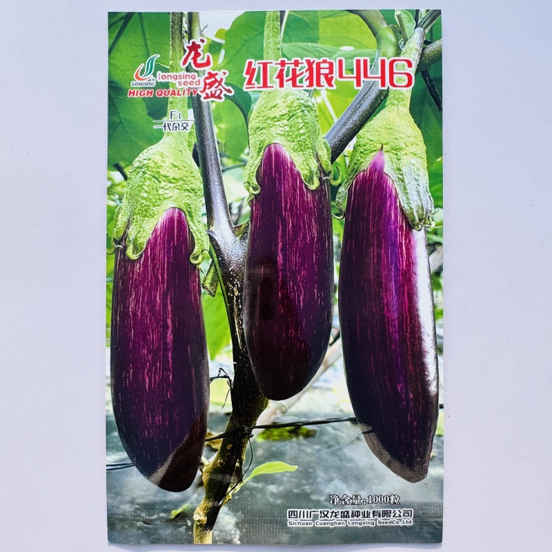 龙盛红花狼446茄子种子早熟品质高亮度好果肉嫩花茄子种