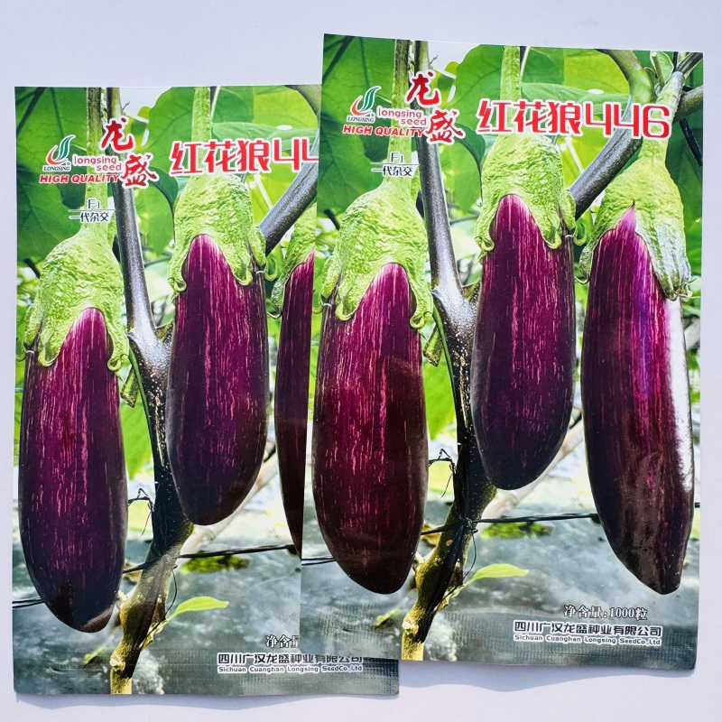 龙盛红花狼446茄子种子早熟品质高亮度好果肉嫩花茄子种