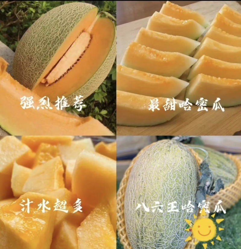 新疆八六王哈密瓜皮薄多汁新鲜采摘现摘现发品质保障规格齐全