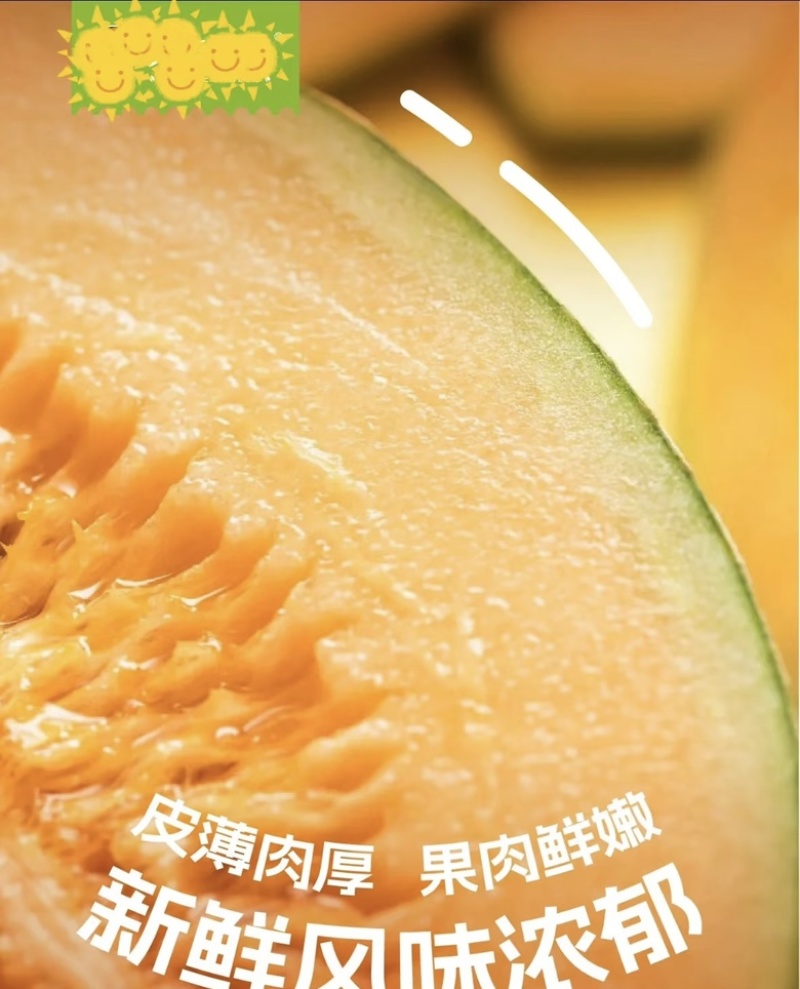 新疆八六王哈密瓜皮薄多汁新鲜采摘现摘现发品质保障规格齐全