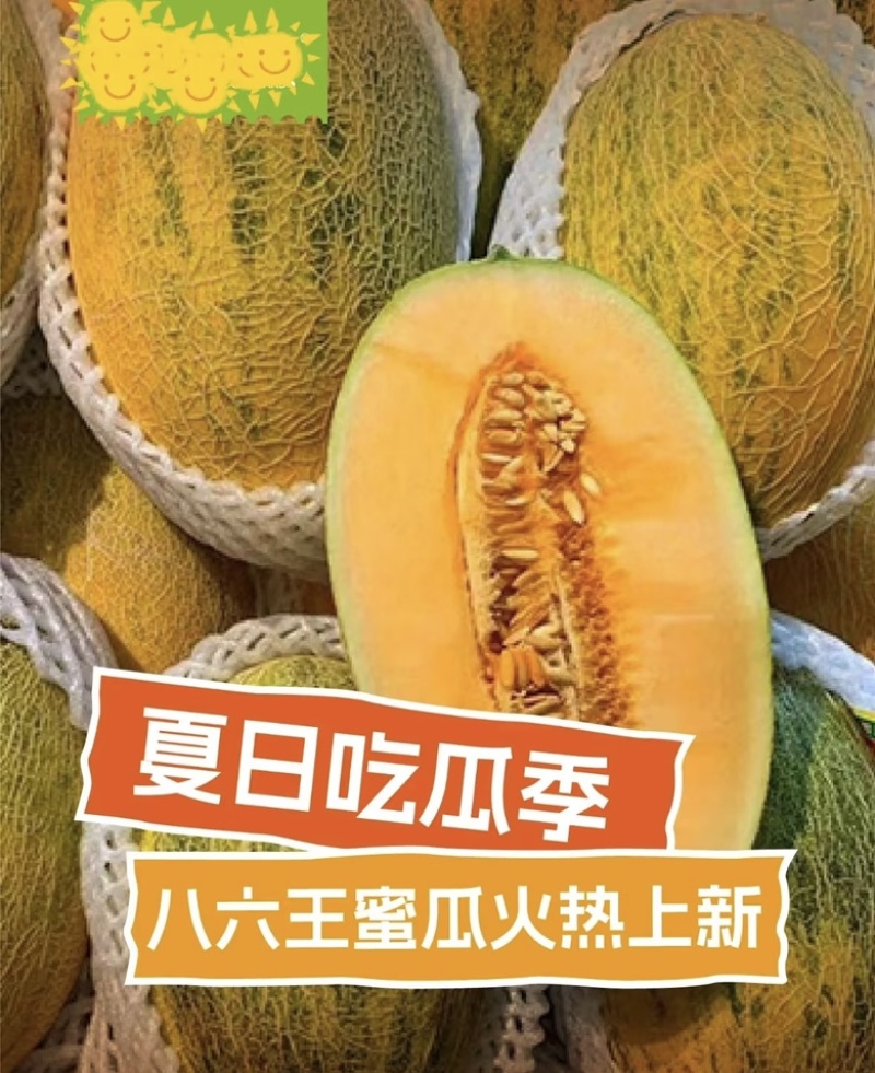 新疆八六王哈密瓜皮薄多汁新鲜采摘现摘现发品质保障规格齐全