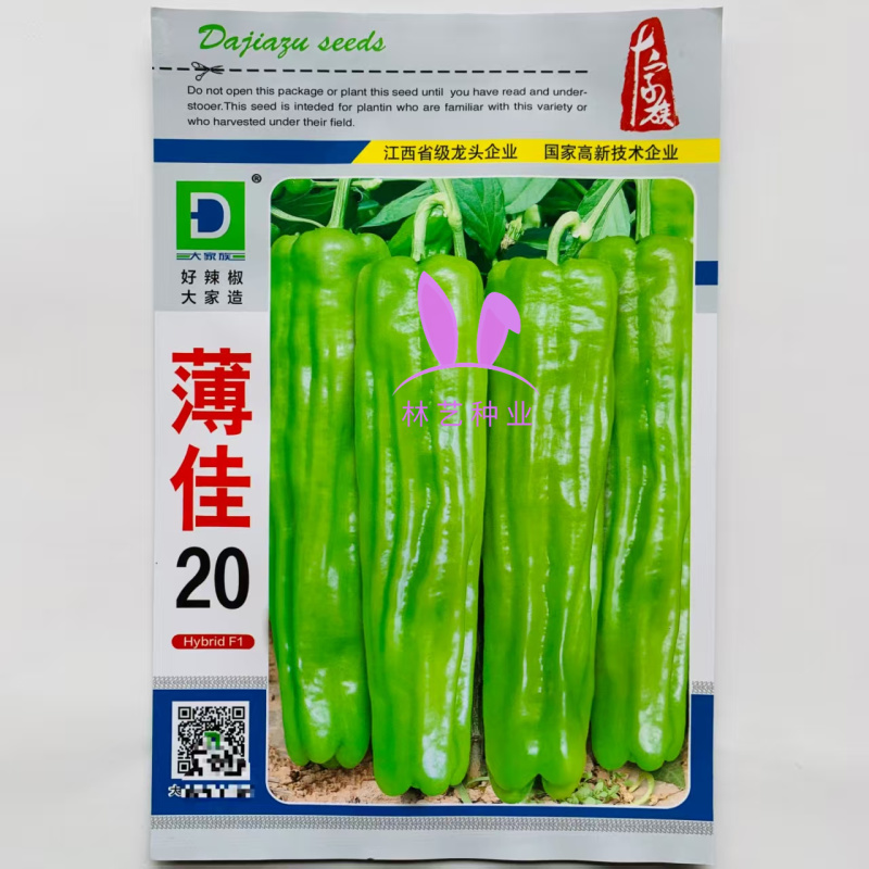 大家族薄佳20辣椒种子早熟黄绿皮大果薄皮泡椒种子皮薄辣椒