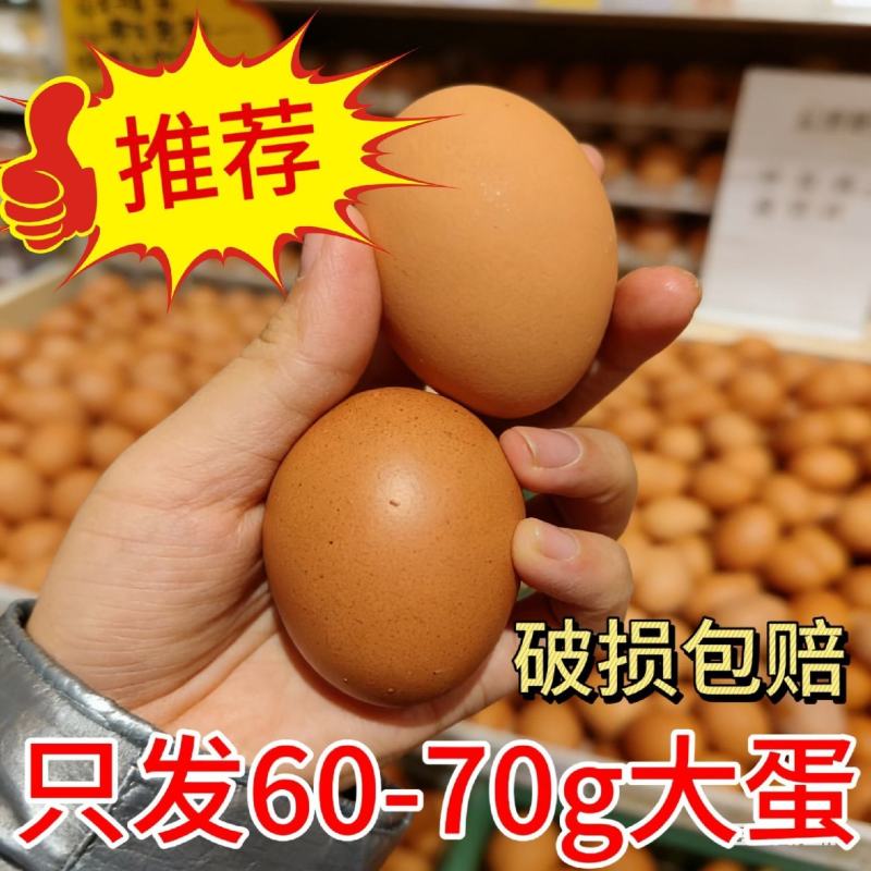 当日新鲜土鸡蛋洋鸡蛋现捡现发全国发货箱装发货质量保证
