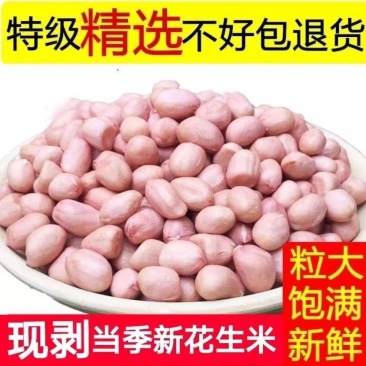 花生米无坏颗粒无霉变颗粒饱满全国发货质量保证