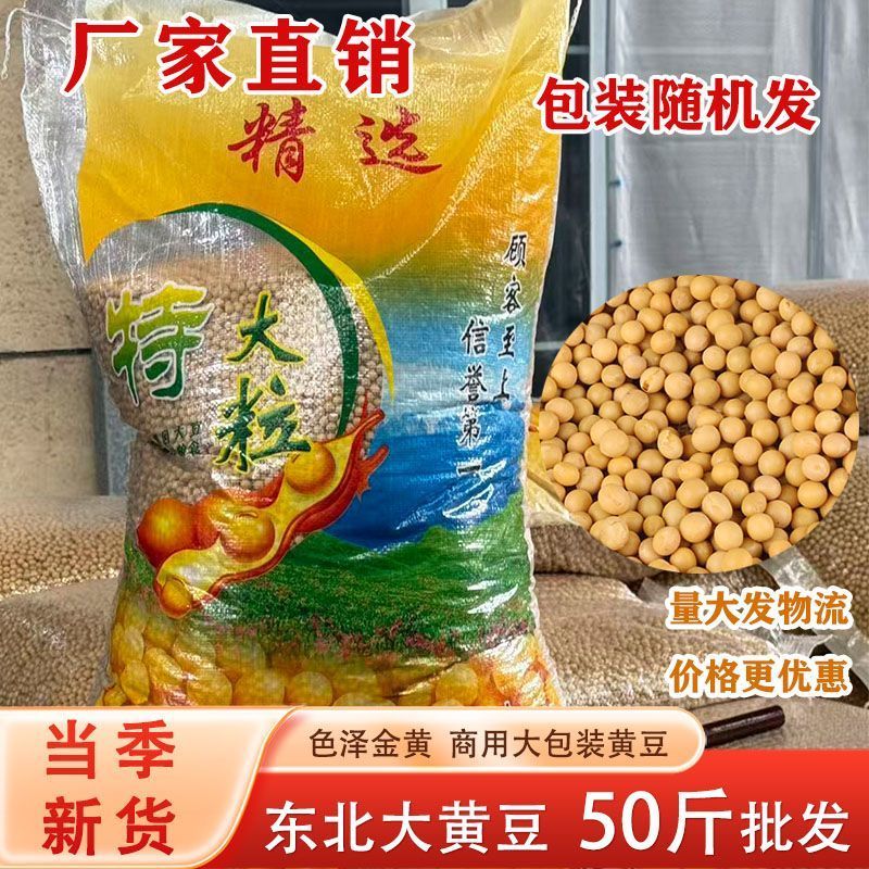 黄豆粒无坏颗粒颗粒饱满无霉变全国发货质量保证
