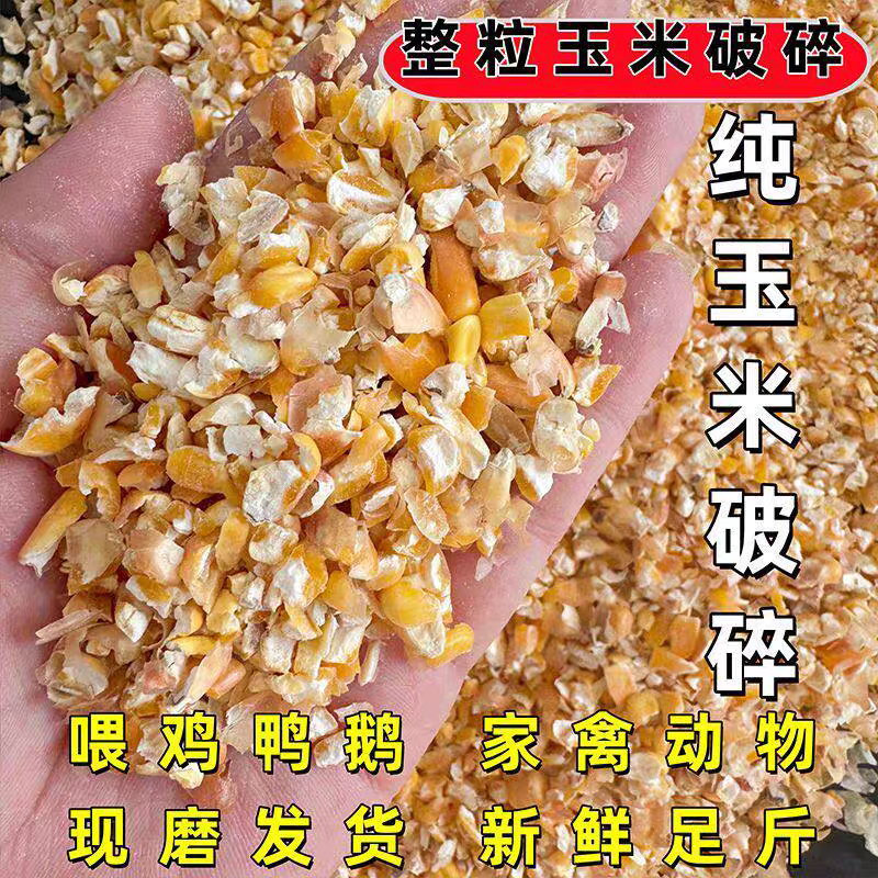净粮碎玉米粒水分9-11无霉变无土无沙全国发货袋装