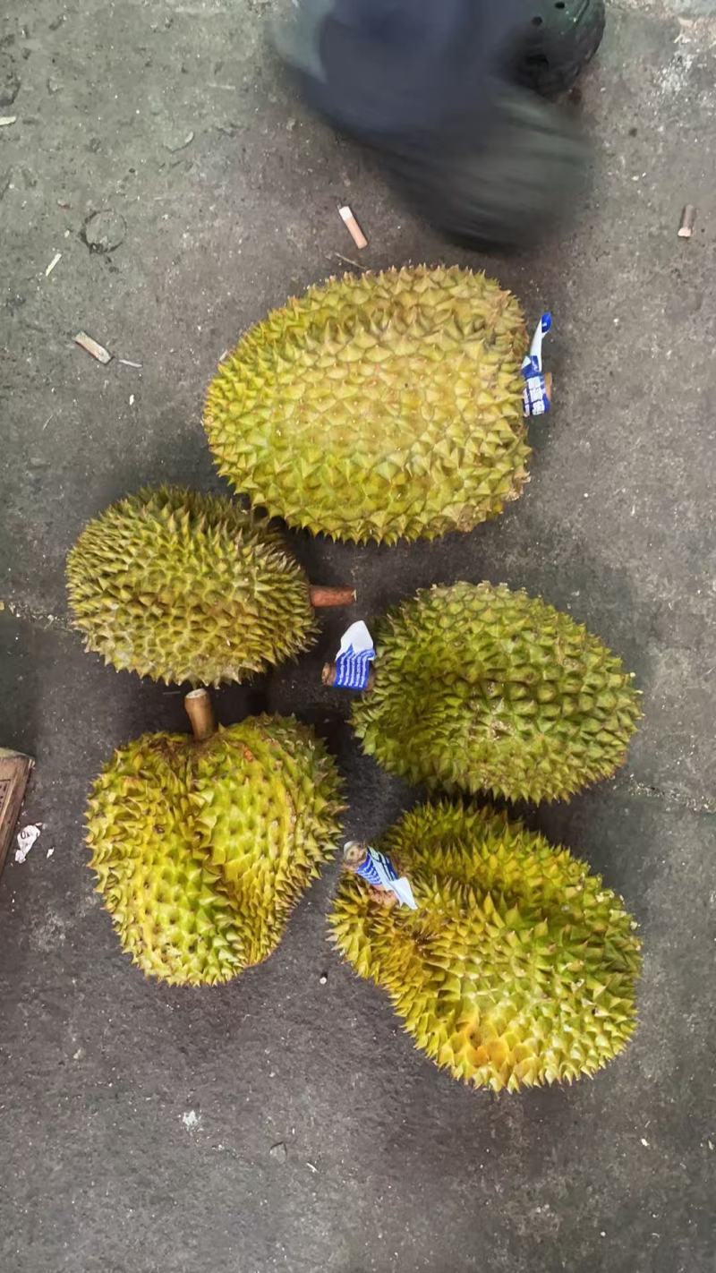 榴莲，品类齐全，欢迎咨询了解，质量稳定