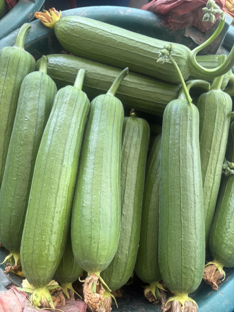 丝瓜香丝瓜油皮丝瓜
