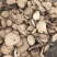 白芷无硫白芷片规格齐全品质保证价格实惠