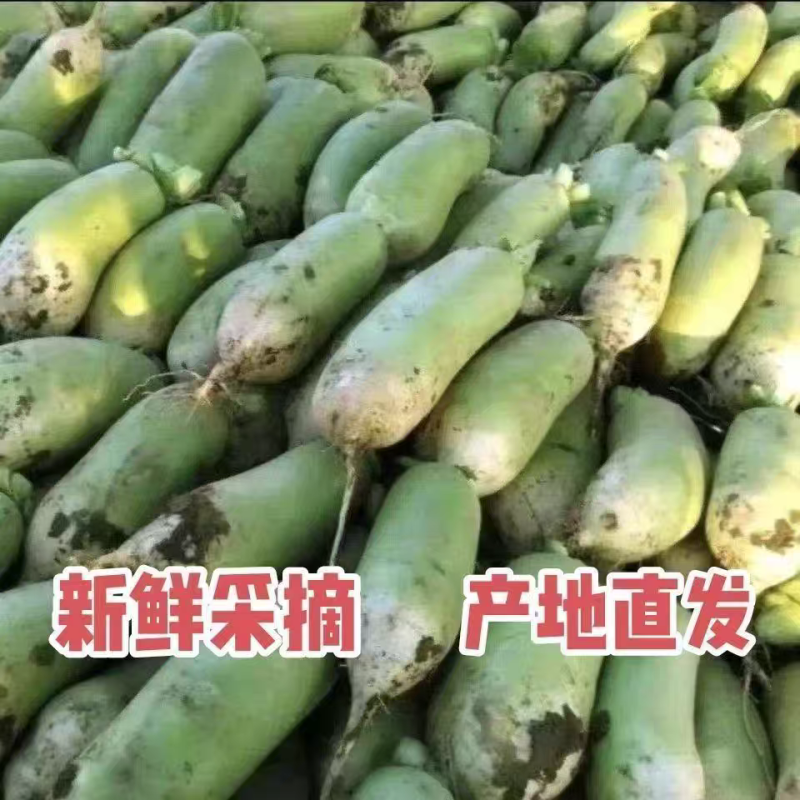 水果萝卜