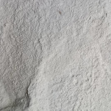 珍珠贝壳粉