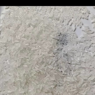 大米