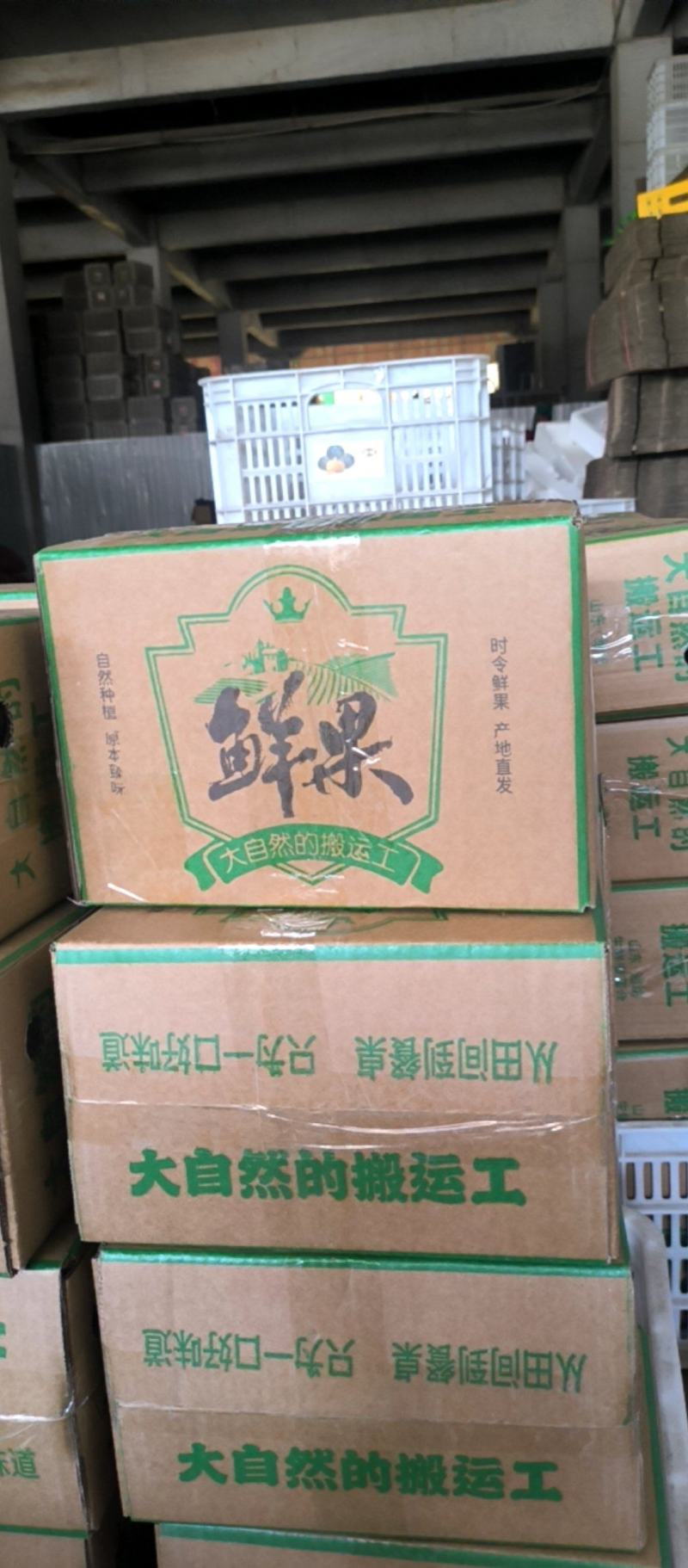 陕西产区爆粉地爬贝贝南瓜上市，可做产地代办，一件代发