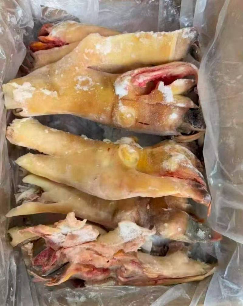 去骨生牛蹄带全筋火烧毛。**推荐，开箱实拍。