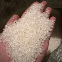 东北清水大米