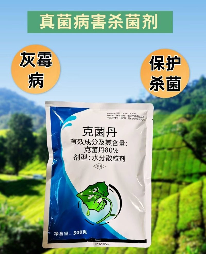80%克菌丹杀菌剂草莓灰霉病果树真菌保护农药杀菌美果
