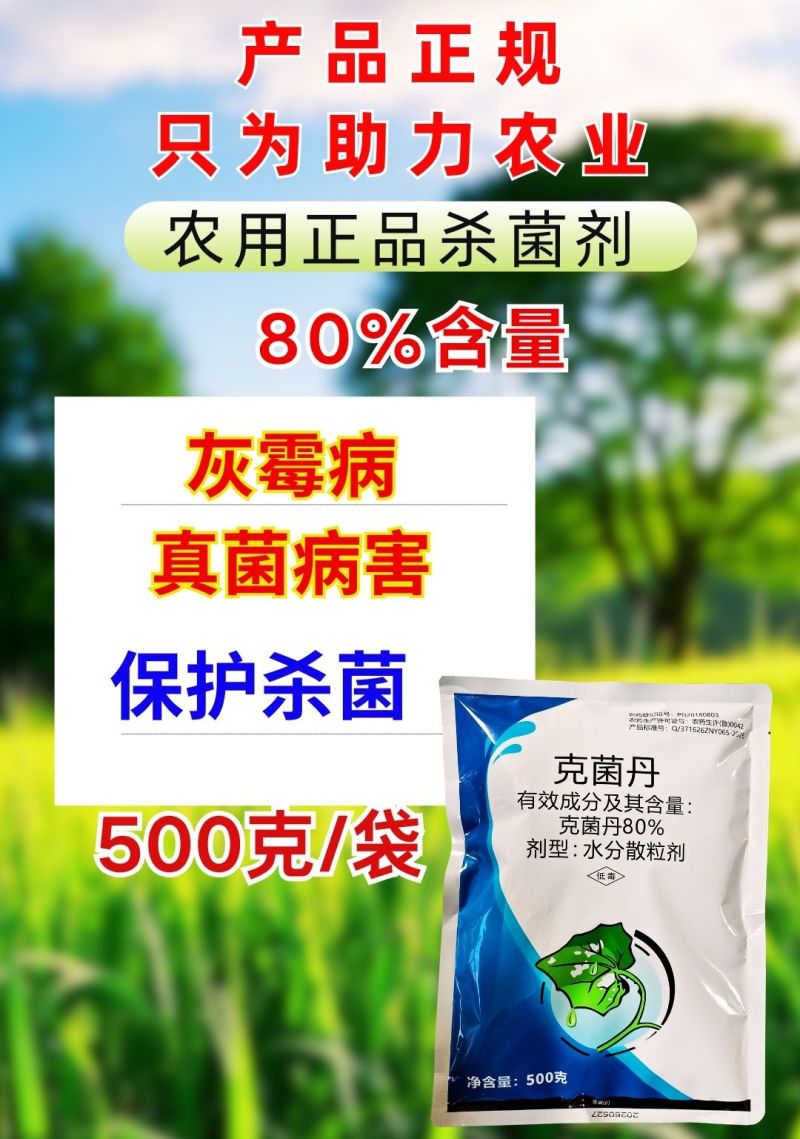 80%克菌丹杀菌剂草莓灰霉病果树真菌保护农药杀菌美果