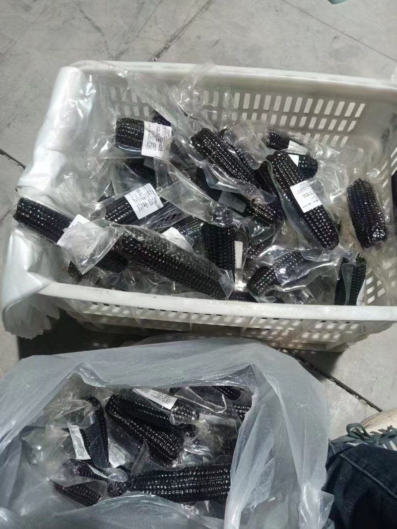 一件代发，真空玉米～黑糯玉米～黄糯玉米对接各大电商社区