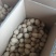 湖北恩施富硒马尔科土豆承接单位食堂大客户订购