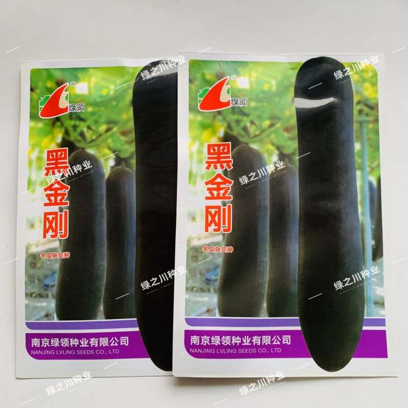 绿领黑金刚冬瓜种子炮弹型特大杂交黑皮冬瓜种子皮色墨绿