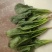 菠菜