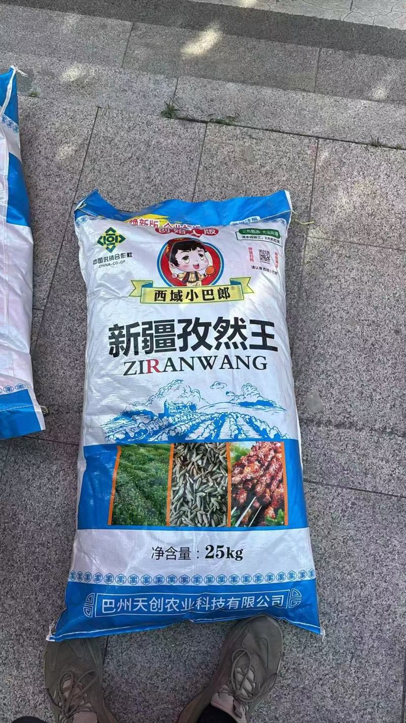 新疆小巴郎孜然，