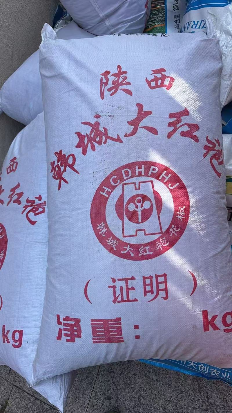 新疆小巴郎孜然，