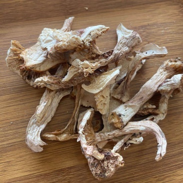 高原野生青杠菌干货天然菌菇肉质厚实产地直供大批量批发