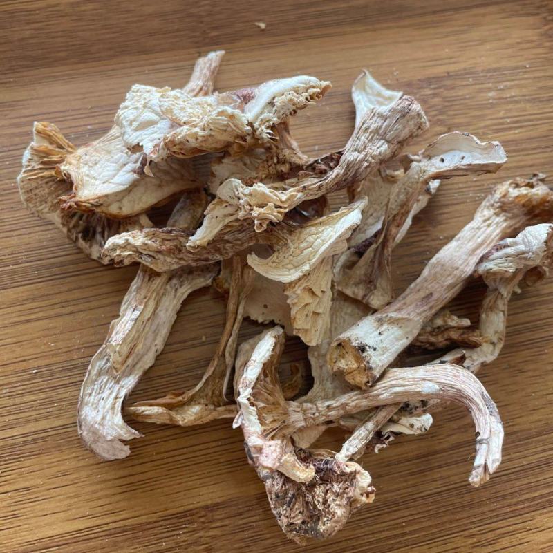高原野生青杠菌干货天然菌菇肉质厚实产地直供大批量批发