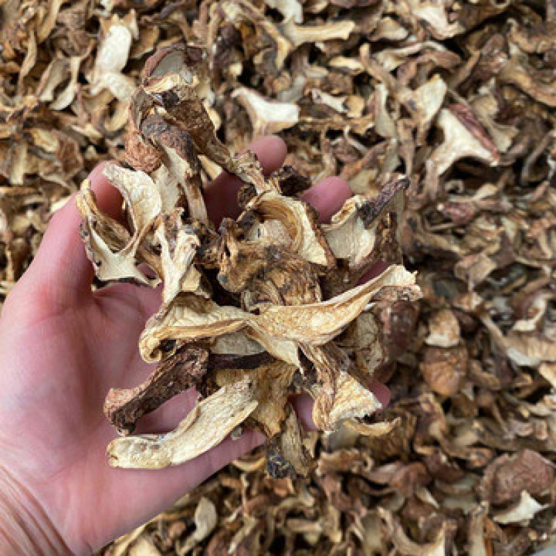 高原野生青杠菌干货天然菌菇肉质厚实产地直供大批量批发