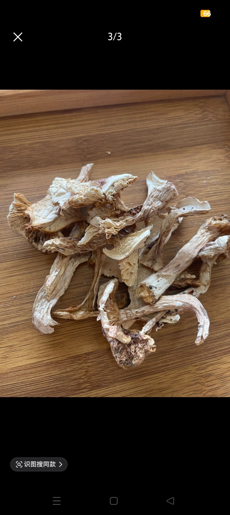高原野生青杠菌干货天然菌菇肉质厚实产地直供大批量批发