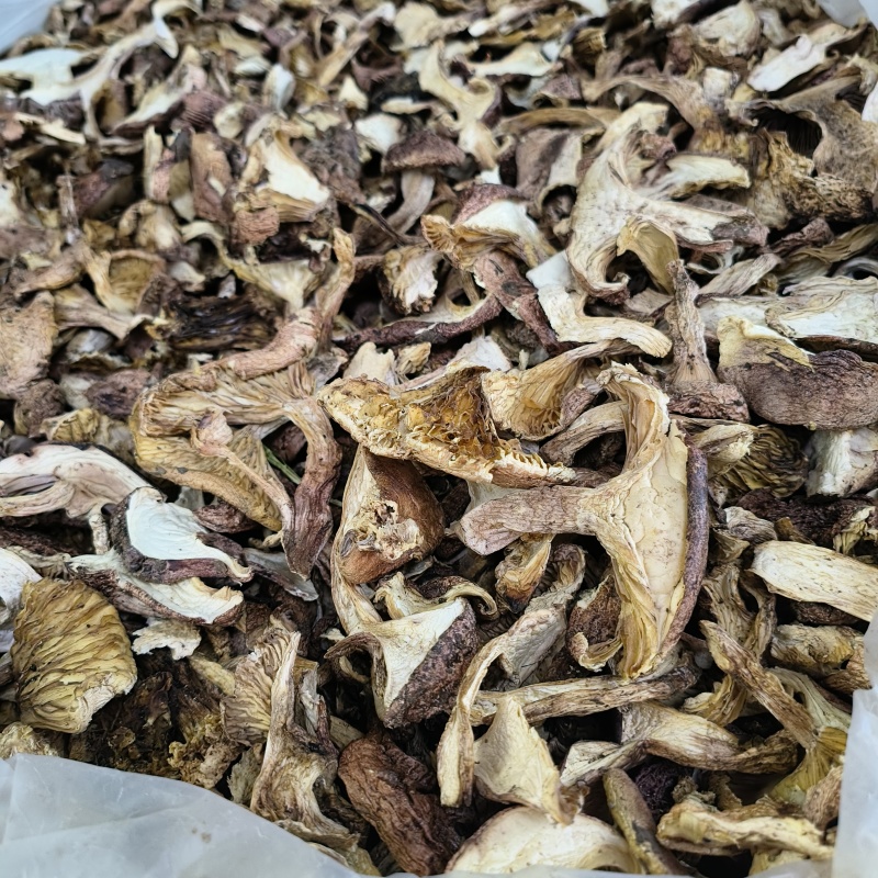 高原野生青杠菌干货天然菌菇肉质厚实产地直供大批量批发