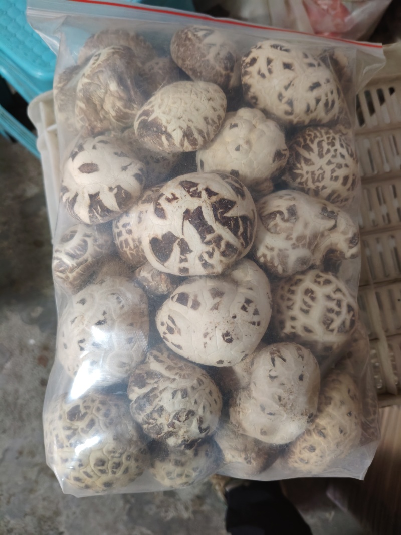 泌阳花菇通货产地直发带脚