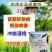 根部病害20%乙酸铜3%甲霜恶霉灵吲丁萘乙酸组合立枯病