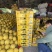 哈密瓜精品一级果无裂无坏果产地直供代办