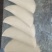 菜角85克*30个*4袋/件厂家直供，质量稳定，售后无忧