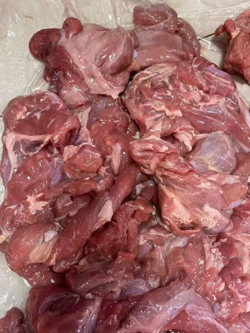 羔羊后腿包