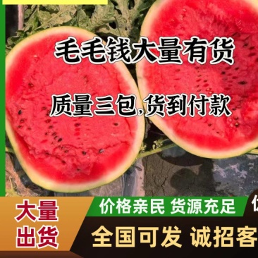河北甜王大量有货，价格便宜，毛毛钱走车，质量三包