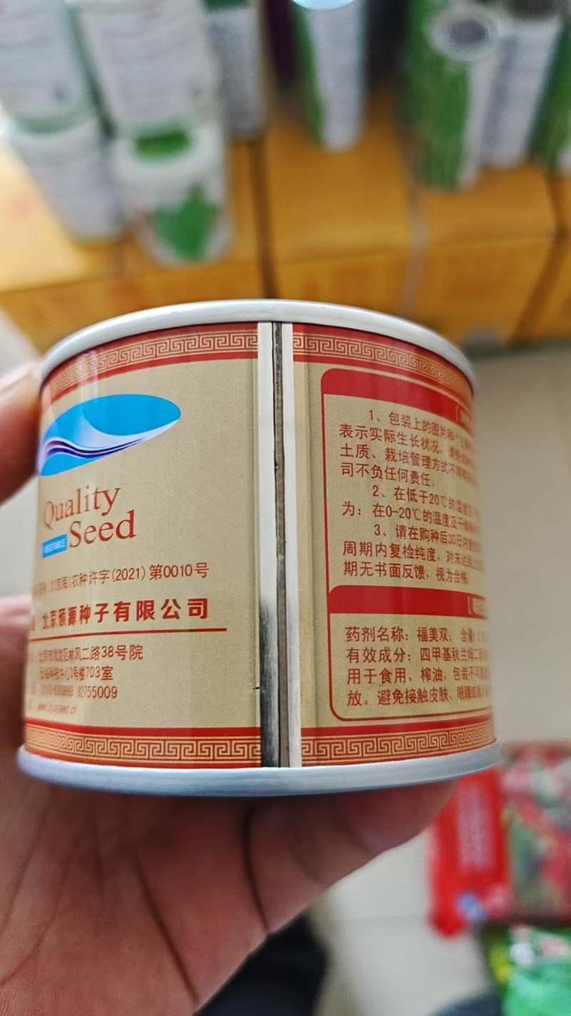 小白菜种子基地专用杂交快菜种子