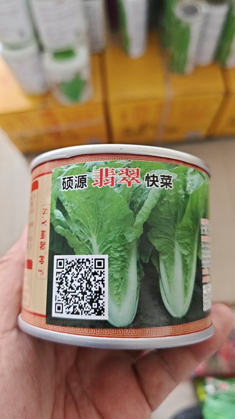 小白菜种子基地专用杂交快菜种子