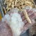 长白山雪蛤线油雪蛤油蛤蟆高泡发炖木瓜油美容养颜滋补品