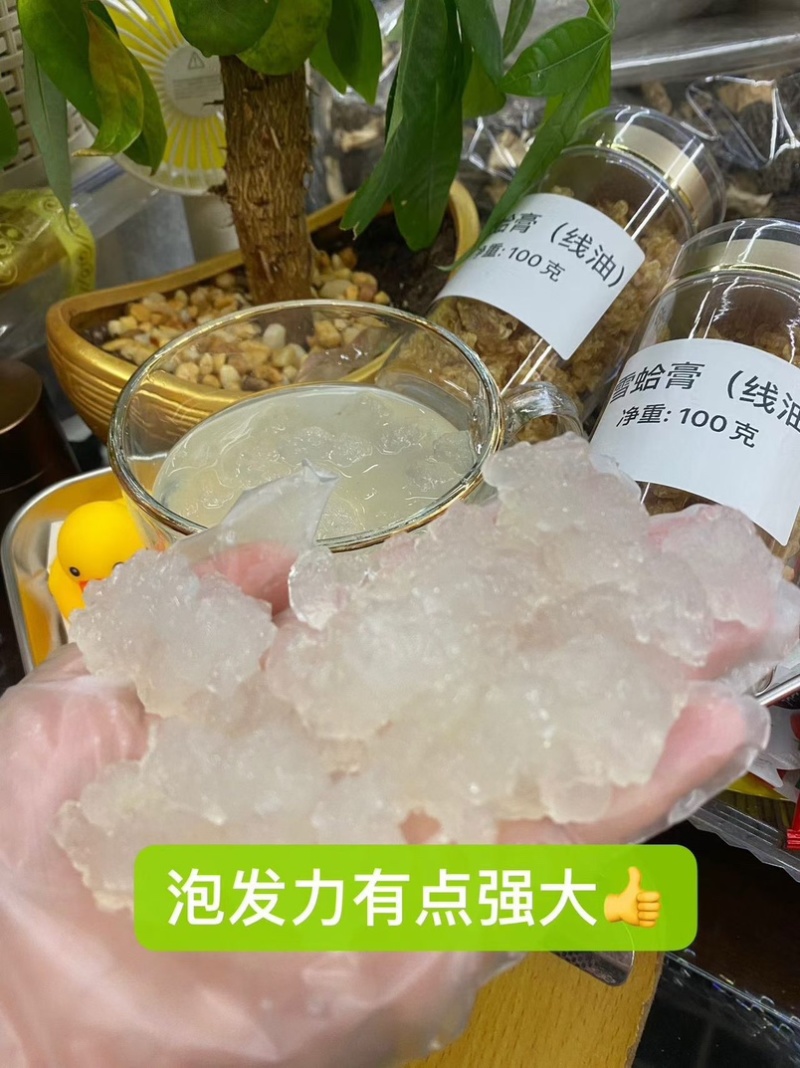 长白山雪蛤线油雪蛤油蛤蟆高泡发炖木瓜油美容养颜滋补品