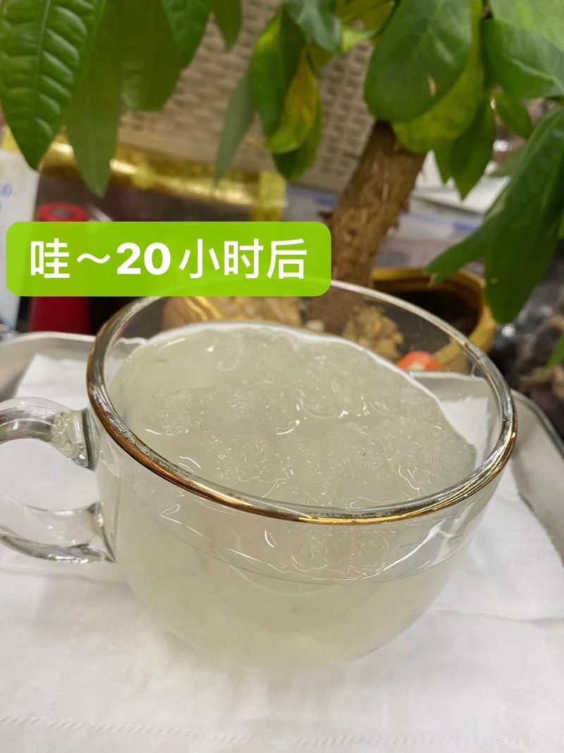 长白山雪蛤线油雪蛤油蛤蟆高泡发炖木瓜油美容养颜滋补品