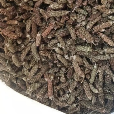 新货夏枯球中药材凉茶泡水泡茶新货晒干无硫无异味