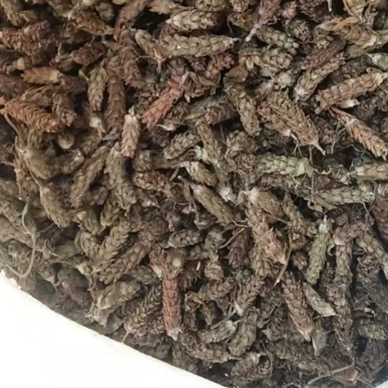 新货夏枯球中药材凉茶泡水泡茶新货晒干无硫无异味