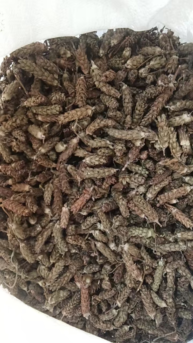 新货夏枯球中药材凉茶泡水泡茶新货晒干无硫无异味